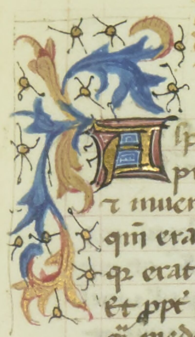 Image to Seeing the manuscript